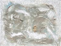 Figures on ice (100x80 cm)